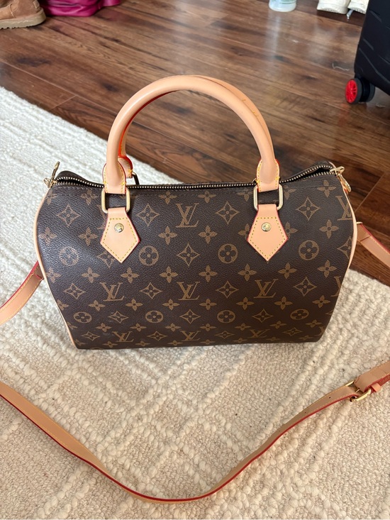 Louis Vuitton Handbags - Louis Vuitton Bag